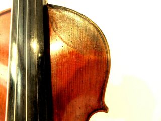 VIOLIN -,  Old Violin,  ITALY,  Label Antonio Guadagnini,  4/4 - back 35,  6 3