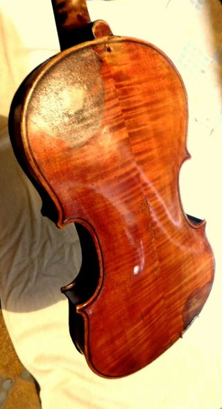 VIOLIN -,  Old Violin,  ITALY,  Label Antonio Guadagnini,  4/4 - back 35,  6 4