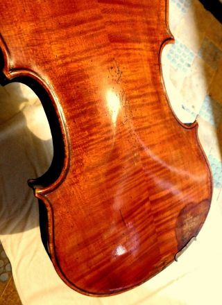VIOLIN -,  Old Violin,  ITALY,  Label Antonio Guadagnini,  4/4 - back 35,  6 5