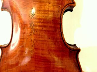 VIOLIN -,  Old Violin,  ITALY,  Label Antonio Guadagnini,  4/4 - back 35,  6 6