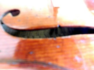 VIOLIN -,  Old Violin,  ITALY,  Label Antonio Guadagnini,  4/4 - back 35,  6 8