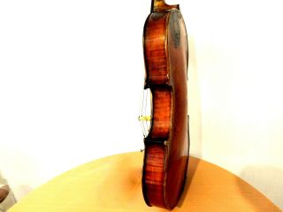 VIOLIN -,  Old Violin,  ITALY,  Label Antonio Guadagnini,  4/4 - back 35,  6 9