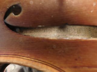 VIOLIN -,  Old Violin,  ITALY,  Label B.  Caruana Marsigliese,  4/4, 11