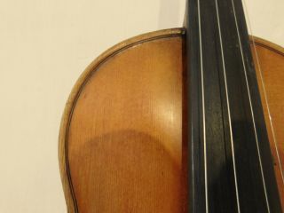 VIOLIN -,  Old Violin,  ITALY,  Label B.  Caruana Marsigliese,  4/4, 2