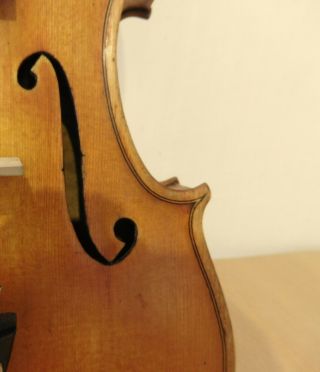 VIOLIN -,  Old Violin,  ITALY,  Label B.  Caruana Marsigliese,  4/4, 3