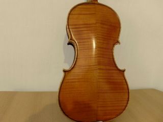 VIOLIN -,  Old Violin,  ITALY,  Label B.  Caruana Marsigliese,  4/4, 5