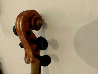 VIOLIN -,  Old Violin,  ITALY,  Label B.  Caruana Marsigliese,  4/4, 8