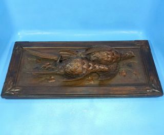 Antique Swiss Black Forest Carved HUNT WALL PLAQUE Pheasant Bird 3D Relief c1900 11