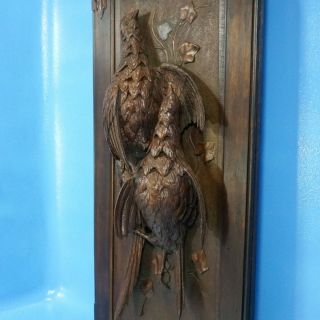 Antique Swiss Black Forest Carved HUNT WALL PLAQUE Pheasant Bird 3D Relief c1900 3