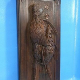 Antique Swiss Black Forest Carved HUNT WALL PLAQUE Pheasant Bird 3D Relief c1900 4