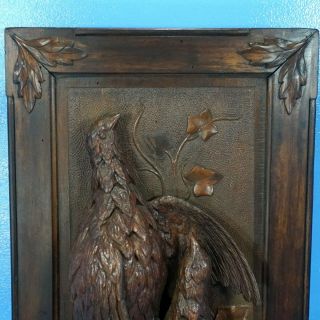 Antique Swiss Black Forest Carved HUNT WALL PLAQUE Pheasant Bird 3D Relief c1900 5