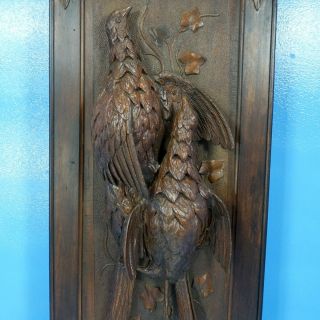 Antique Swiss Black Forest Carved HUNT WALL PLAQUE Pheasant Bird 3D Relief c1900 6