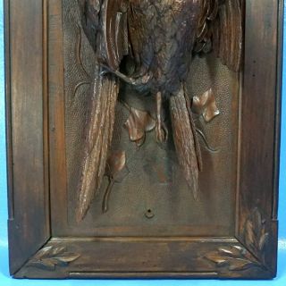 Antique Swiss Black Forest Carved HUNT WALL PLAQUE Pheasant Bird 3D Relief c1900 7
