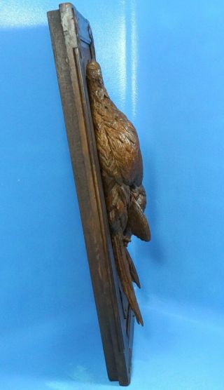 Antique Swiss Black Forest Carved HUNT WALL PLAQUE Pheasant Bird 3D Relief c1900 9