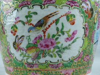A CHINESE PORCELAIN FAMILLE ROSE BALUSTER VASE 19TH CENTURY CANTONESE 11
