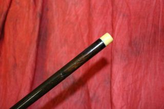 Antique Horn Handled Cane W/Sterling Silver Collar,  Strong Shaft & Tip 4
