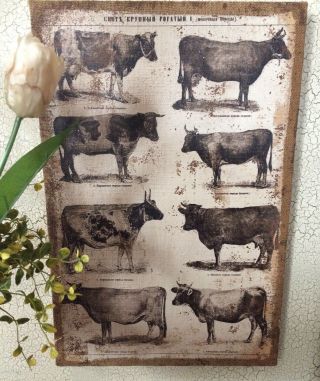 Cow Burlap Canvas Picture Print Farmhouse Decor Ox Cattle Dairy Beef Wall Art