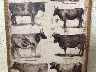 Cow BURLAP CANVAS Picture Print Farmhouse Decor Ox Cattle Dairy Beef Wall Art 5