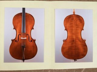 CELLO M.  GADDA,  MANTOVA 1980 YOUTUBE SAMPLE,  CERTIFICATE violoncello italian old 2