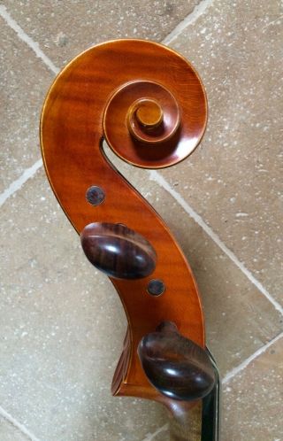 CELLO M.  GADDA,  MANTOVA 1980 YOUTUBE SAMPLE,  CERTIFICATE violoncello italian old 7