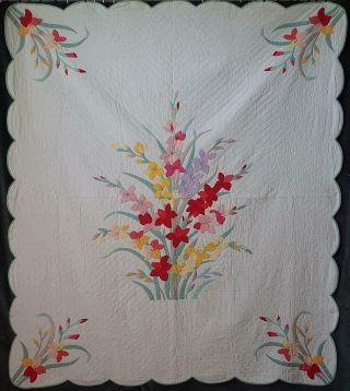 Vintage c1930 Applique Gladiolus Cottage Bouquet QUILT 89x77 2