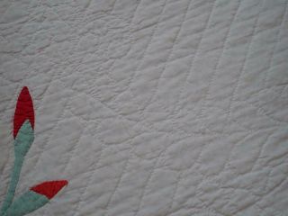 Vintage c1930 Applique Gladiolus Cottage Bouquet QUILT 89x77 8