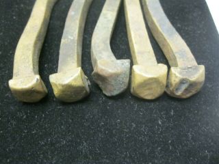 5 PIECE DECK NAILS FROM A SPANISH GALLEON CENTURY ' S OLD SHIPWRECK ARTIFACT LOOK 8