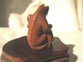 JAPANESE CARVED BOXWOOD NETSUKE KUZUNOHA MEIJI ERA 3