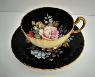 Rare Aynsley Black Oban Footed Cup & Saucer W Cabbage Rose Floral -