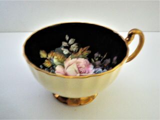 Rare Aynsley Black Oban Footed Cup & Saucer w Cabbage Rose Floral - 3