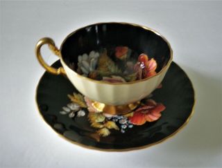 Rare Aynsley Black Oban Footed Cup & Saucer w Cabbage Rose Floral - 6