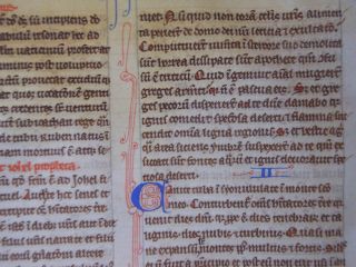,  Rare,  Wonderful Latin Vellum Manuscript Medieval Bible England 1260 8