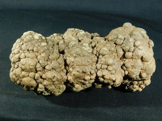 A BIG Fossil DINOSAUR COPROLITE or Dino CRAP From Jurassic Utah 2202gr e 2