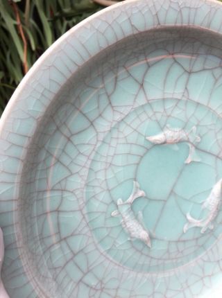Large Chinese Song Ru Kiln Crackle Glazed Celadon Porcelain Plate 5