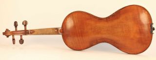 old violin Guseto Chanot violon alte geige cello french fiddle viola 小提琴 ヴァイオリン 6
