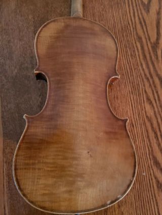 Antique Tiger Maple Violin German? 24 Inches