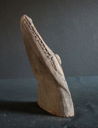 CROCODILE HEAD FROM ONE KIDS CANOE OLD AUTHENTIC 4