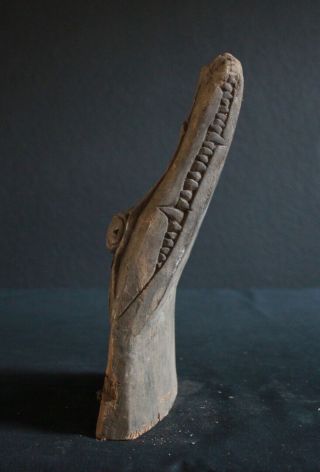 CROCODILE HEAD FROM ONE KIDS CANOE OLD AUTHENTIC 6