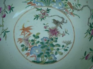 LARGE ANTIQUE CHIESE FAMILLE ROSE BASIN WITH BIRD & FLOWERS 3