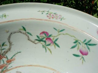 LARGE ANTIQUE CHIESE FAMILLE ROSE BASIN WITH BIRD & FLOWERS 5