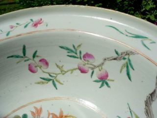 LARGE ANTIQUE CHIESE FAMILLE ROSE BASIN WITH BIRD & FLOWERS 8