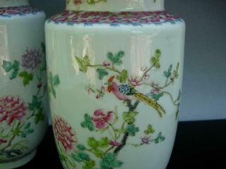OLD CHINESE FAMILLE ROSE PORCELAIN JARS AND COVERS 4