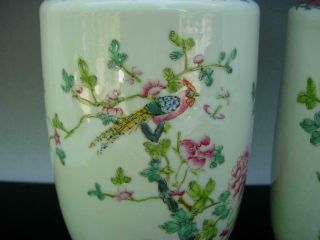 OLD CHINESE FAMILLE ROSE PORCELAIN JARS AND COVERS 6
