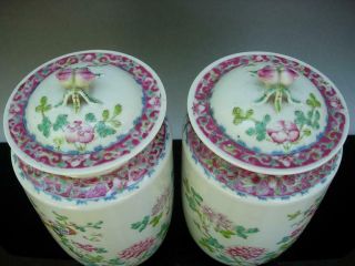 OLD CHINESE FAMILLE ROSE PORCELAIN JARS AND COVERS 8