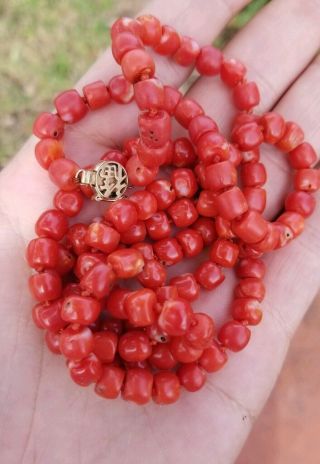 Estate Natural Red Coral Beaded Necklace With 14k Gold Clasp 58 Grams 33 "