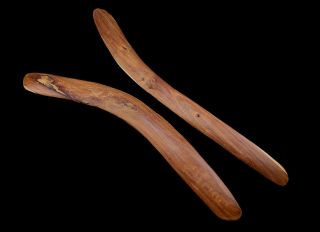 2 Large Australian Aboriginal Mulga Wood Boomerangs 29.  5 " Heavy