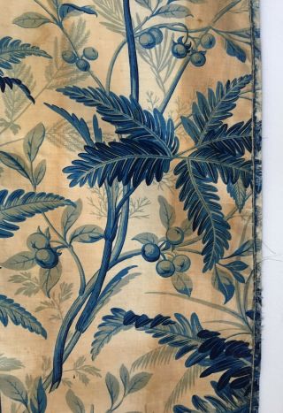 Rare 19th C.  French Printed Toile Like Leaf Print (2795) 10