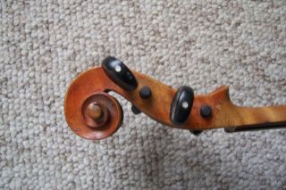 Estate Full Size Unmarked Violin 5