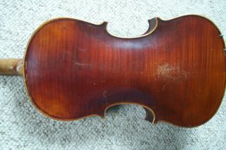 Antique Full Size Strad Labeled Violin Carved Peg Box 6