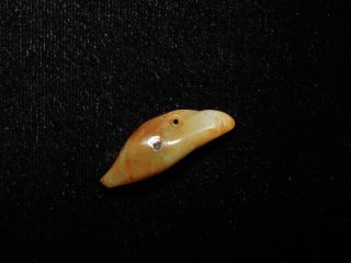 Authentic Pre - Columbian Jade Pendant Bead,  Very Rare Carved Bead,  Costa Rica